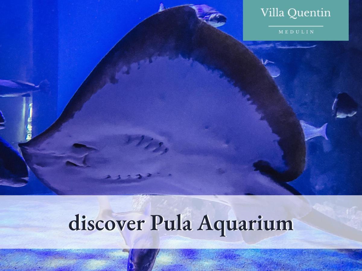 Villa Quentin - Quiet Place Close To Beach เมดูลิน ภายนอก รูปภาพ